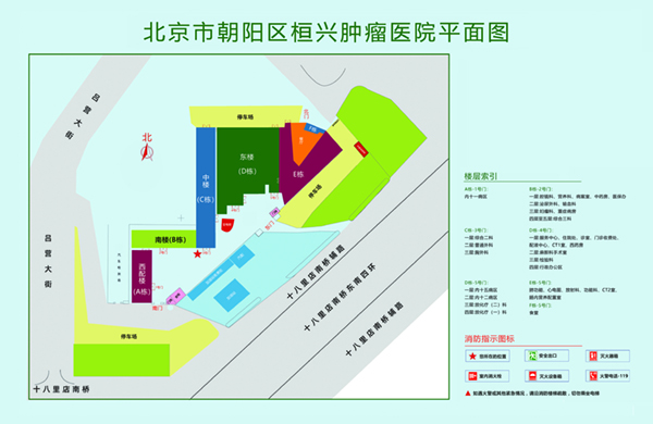 操逼逼香草视频北京市朝阳区桓兴肿瘤医院平面图